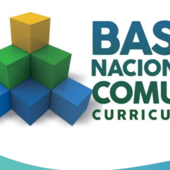 Base Nacional Comum Curricular PDF Grátis Download