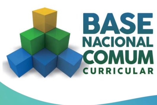 Base Nacional Comum Curricular PDF Grátis Download